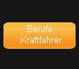 Berufs-
Kraftfahrer